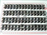 56 pairs wine red bread freshwater loose pearl beads of 8-8.5mm