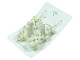 irregular branch white coral dangling earrings