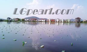 wholesale pearl jewelry wholesale pearl jewelry